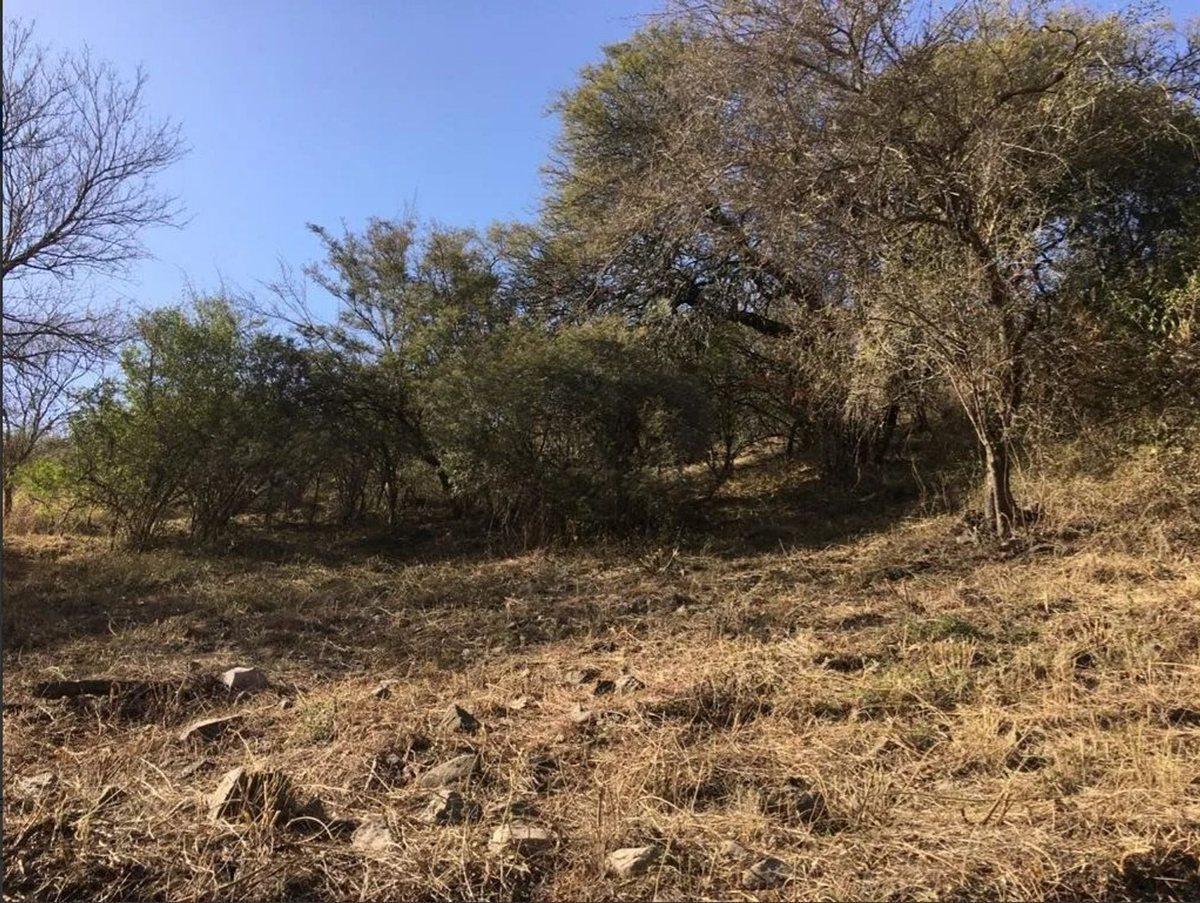 Foto de VENTA LOTE B CON SEG MENDIOLAZA SIERRA NUEVA, imagen 2