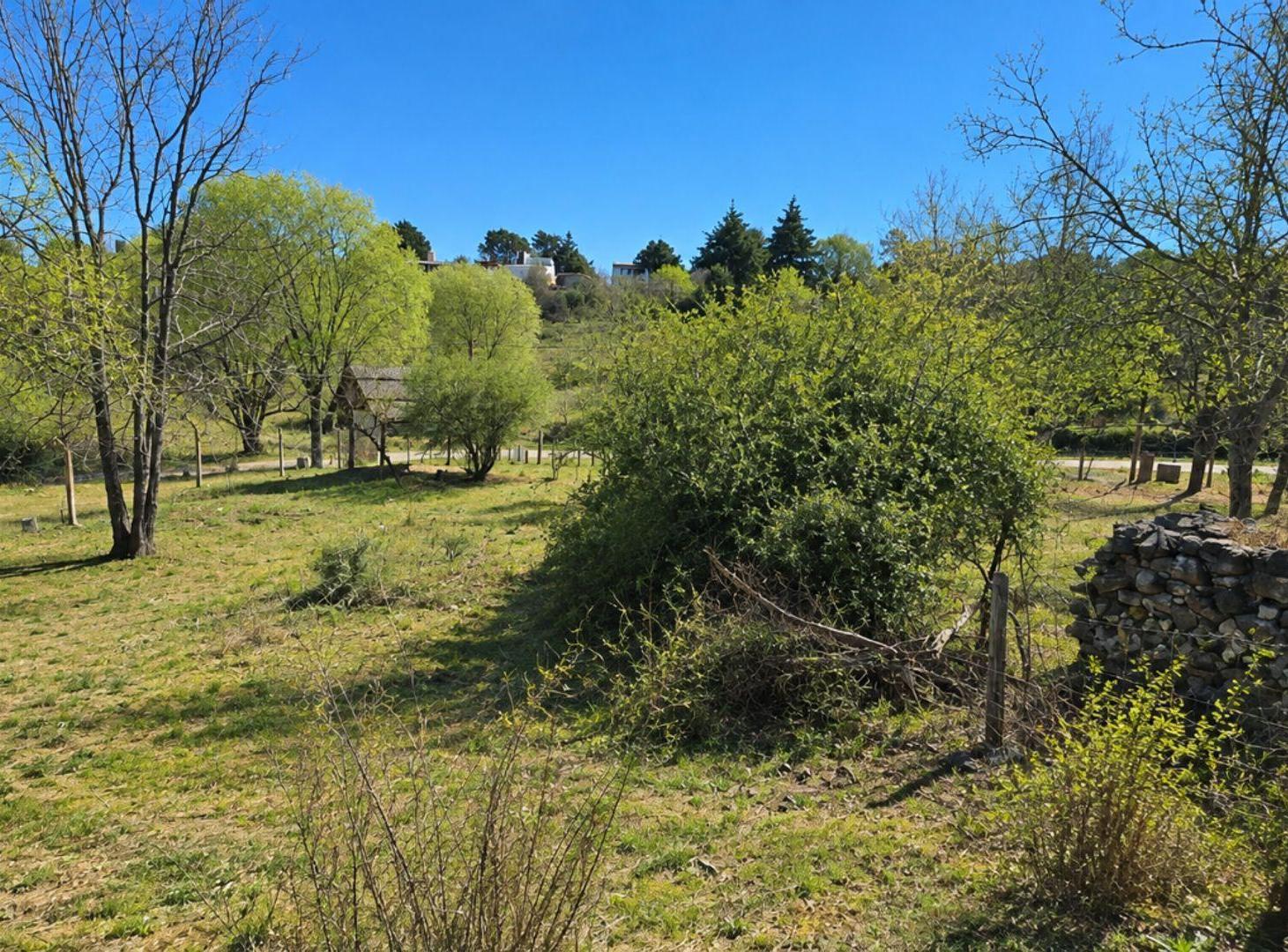 Foto de TERRENO EN SAN ANTONIO A METROS DEL RIO, imagen 3