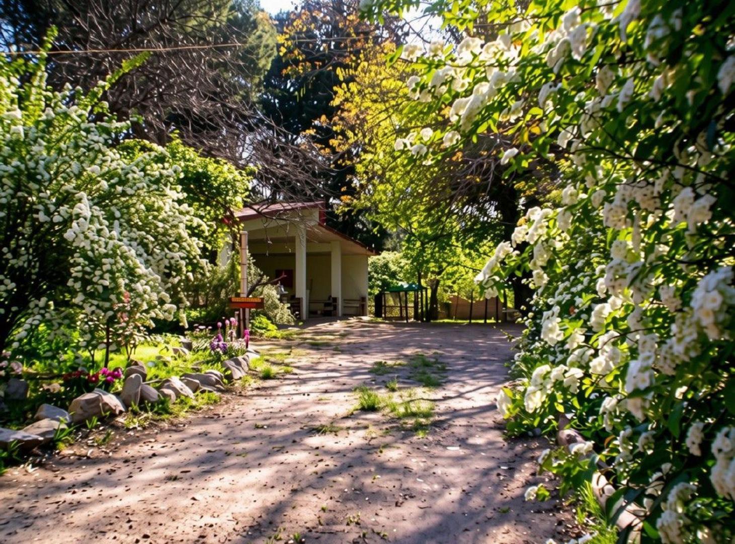 Foto de VENTA HOSTERIA LOS HORNILLOS PILETA Y GRAN PARQUE, imagen 4