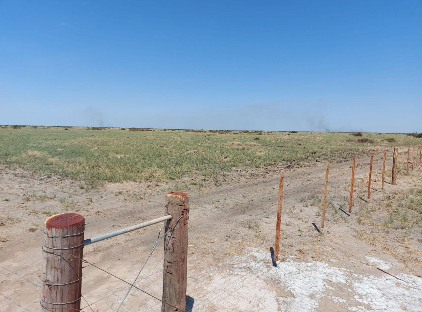 Foto de VENTA CAMPO 294 HAS LA RINCONADA RIO SECO CORDOBA, imagen 2