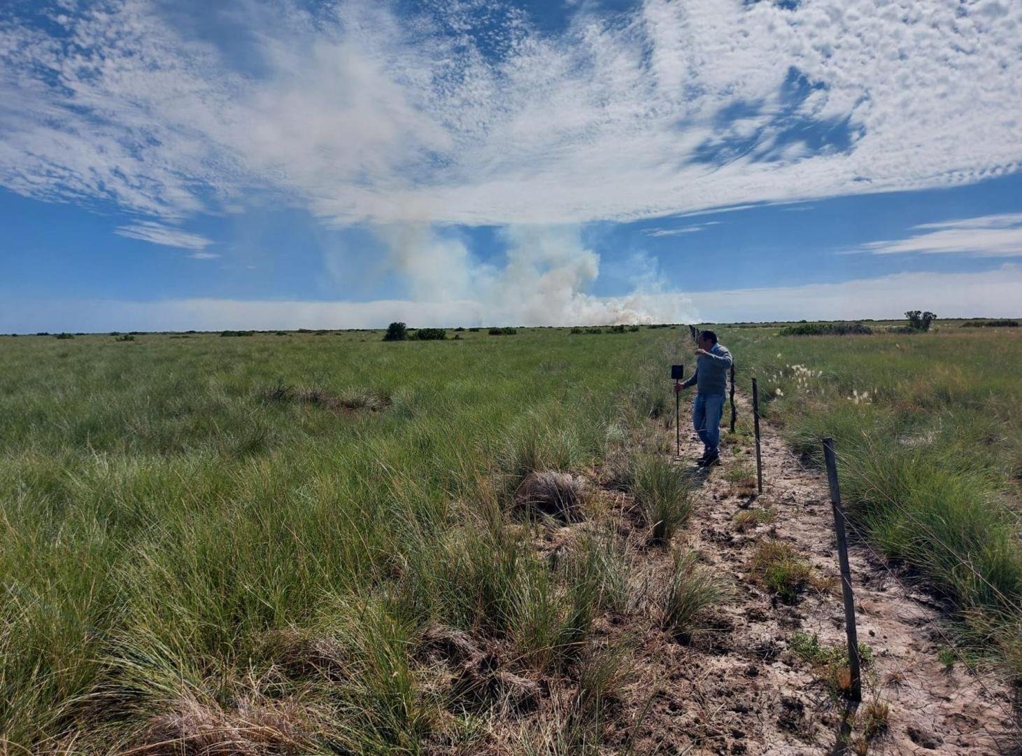 Foto de VENTA CAMPO 294 HAS LA RINCONADA RIO SECO CORDOBA, imagen 5