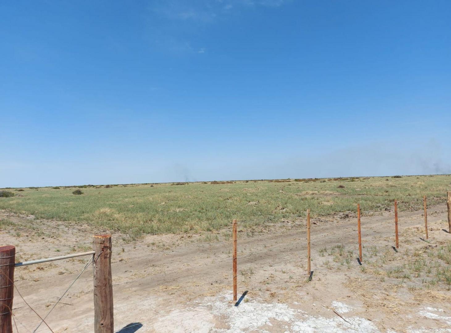 Foto de VENTA CAMPO 294 HAS LA RINCONADA RIO SECO CORDOBA, imagen 4