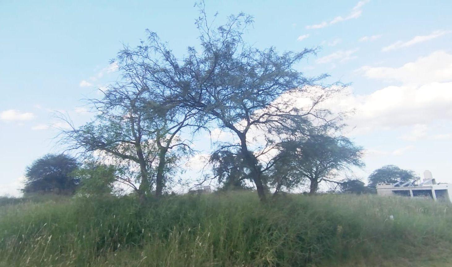 Foto de VENTA TERRENO BARRIO CERRADO LOMAS DE ANISACATE, imagen 1