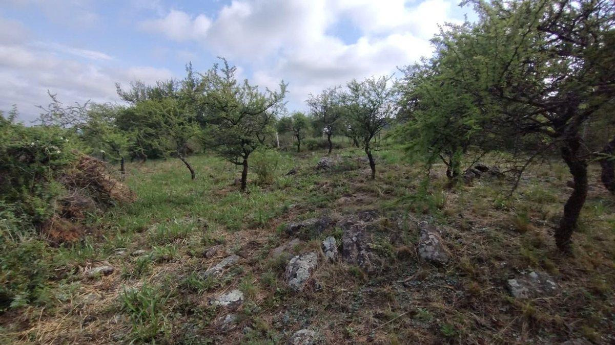 Foto de VENTA TERRENO 609M2 S A ARREDONDO VISTAS ESCRITURA, imagen 3
