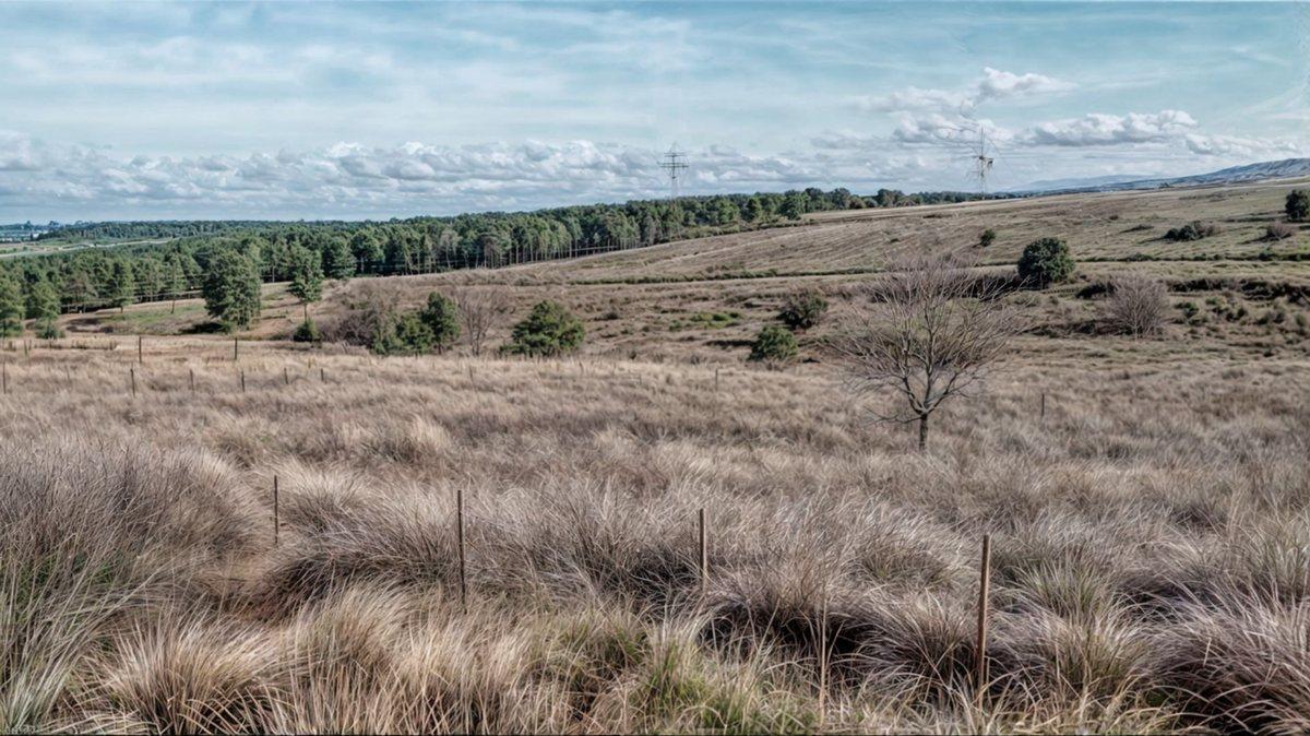 Foto de VENTA LOTE 1.500M2 PAMPA ALTA POTRERO DE GARAY, imagen 1
