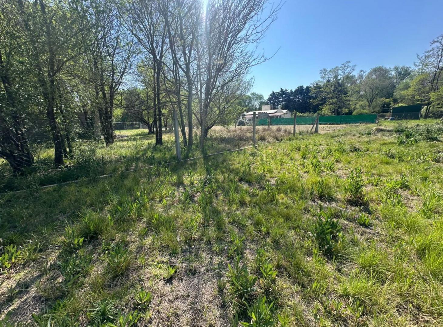 Foto de VENTA LOTE 910MTS EN ANISACATE 300MTS RUTA 5, imagen 5
