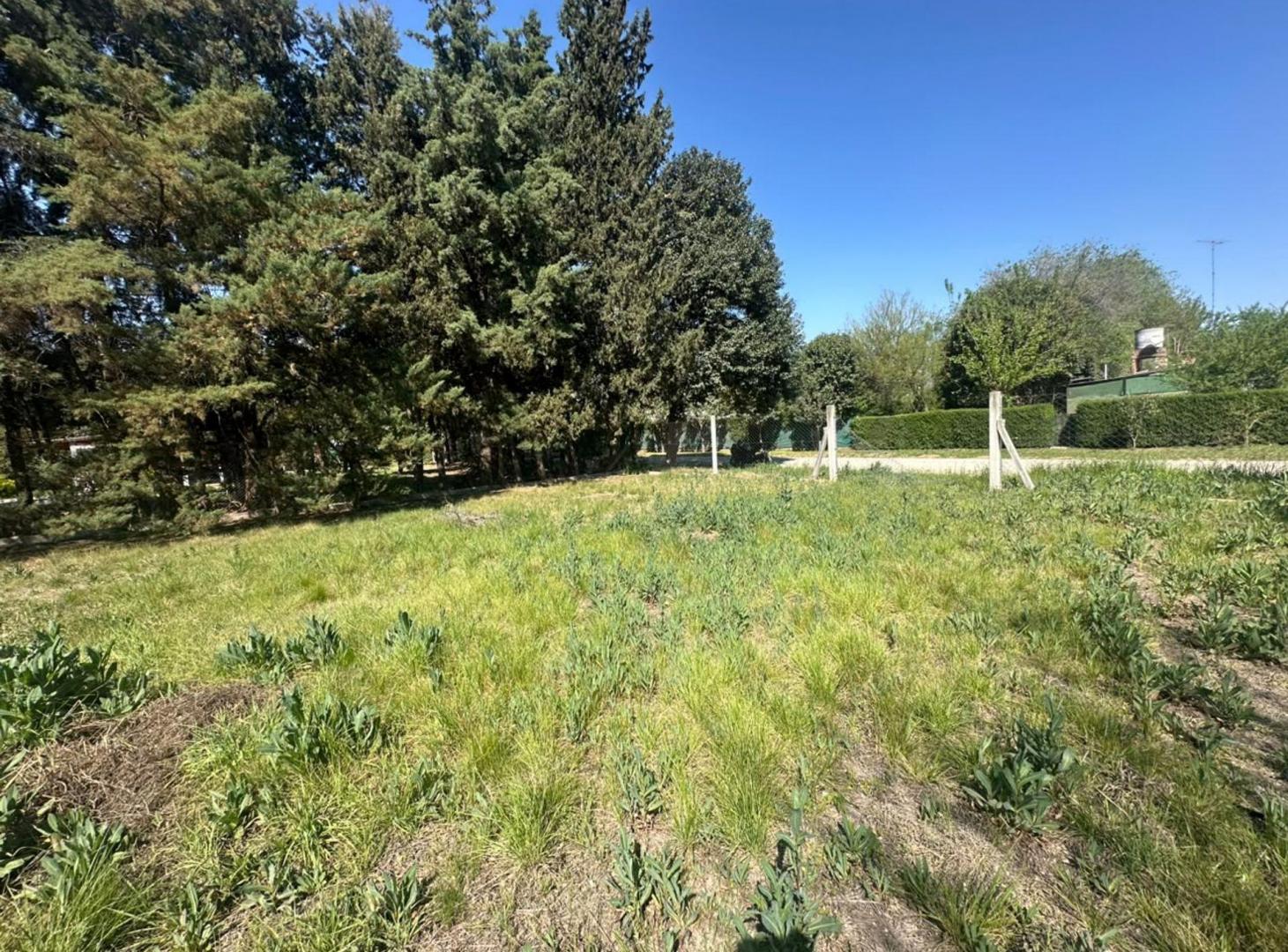 Foto de VENTA LOTE 910MTS EN ANISACATE 300MTS RUTA 5, imagen 1