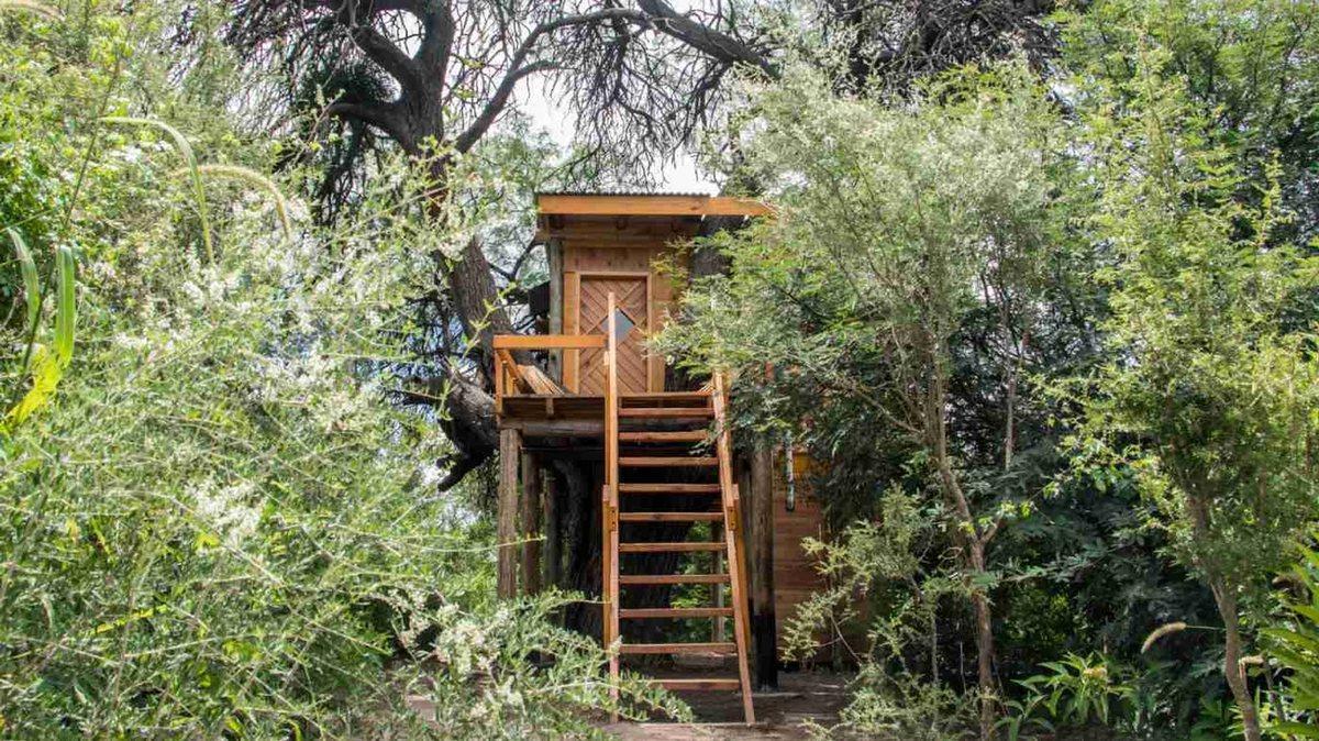 Foto de VENTA DE COMPLEJO DE CABAÑAS ECOTURISMO, imagen 2