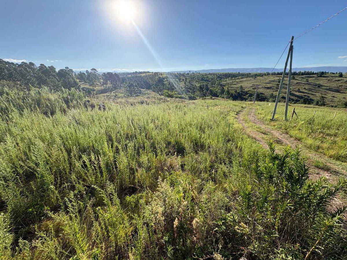 Foto de TERRENO EN VENTA OPORTUNIDAD LOMAS DEL TIGRE VGB, imagen 1