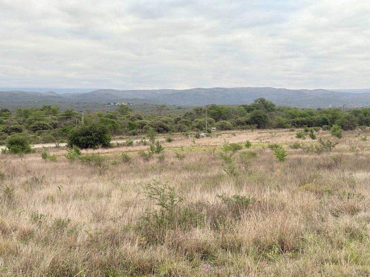 Foto de TERRENO 5559 M2 EN VENTA SAN ANTONIO DE ARREDONDO, imagen 4