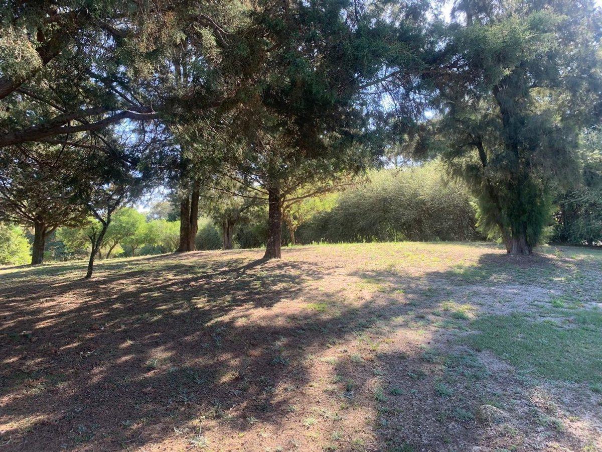 Foto de VENTA TERRRENO CASA GRANDE, CORDOBA, imagen 5
