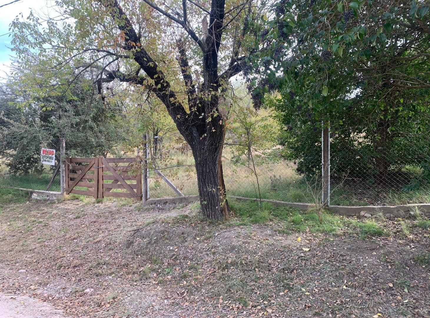 Foto de TERRENO EN VENTA EN CASA GRANDE CORDOBA, imagen 4