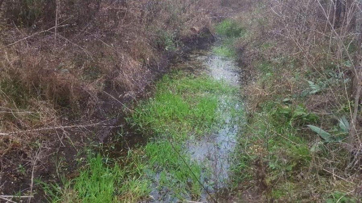 Foto de VENTA LOTE 3HAS ARROYO EL ALGODONAL AGUA DE ORO, imagen 4