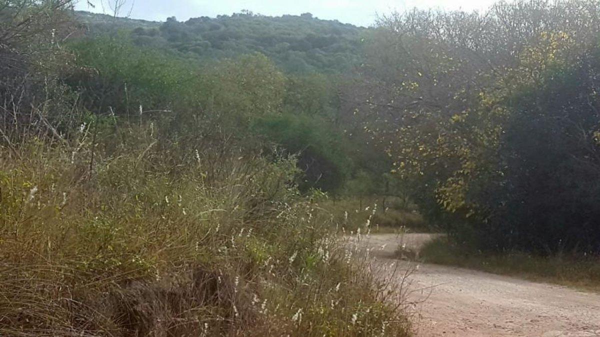 Foto de VENTA LOTE 3HAS ARROYO EL ALGODONAL AGUA DE ORO, imagen 5