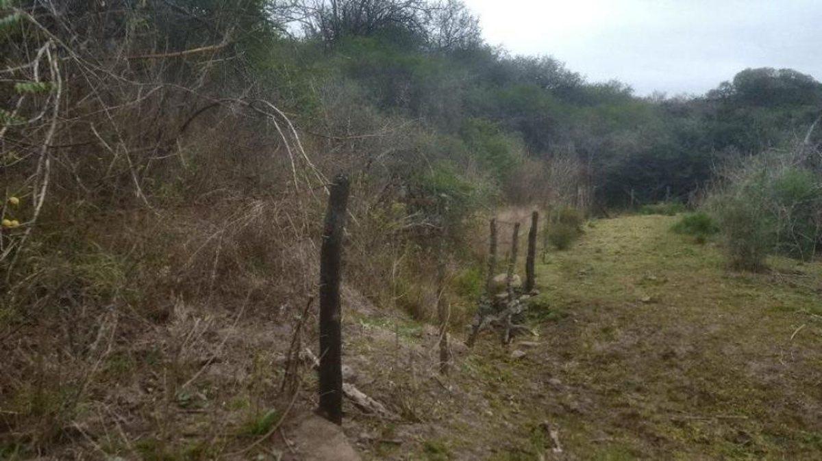 Foto de VENTA LOTE 3HAS ARROYO EL ALGODONAL AGUA DE ORO, imagen 3