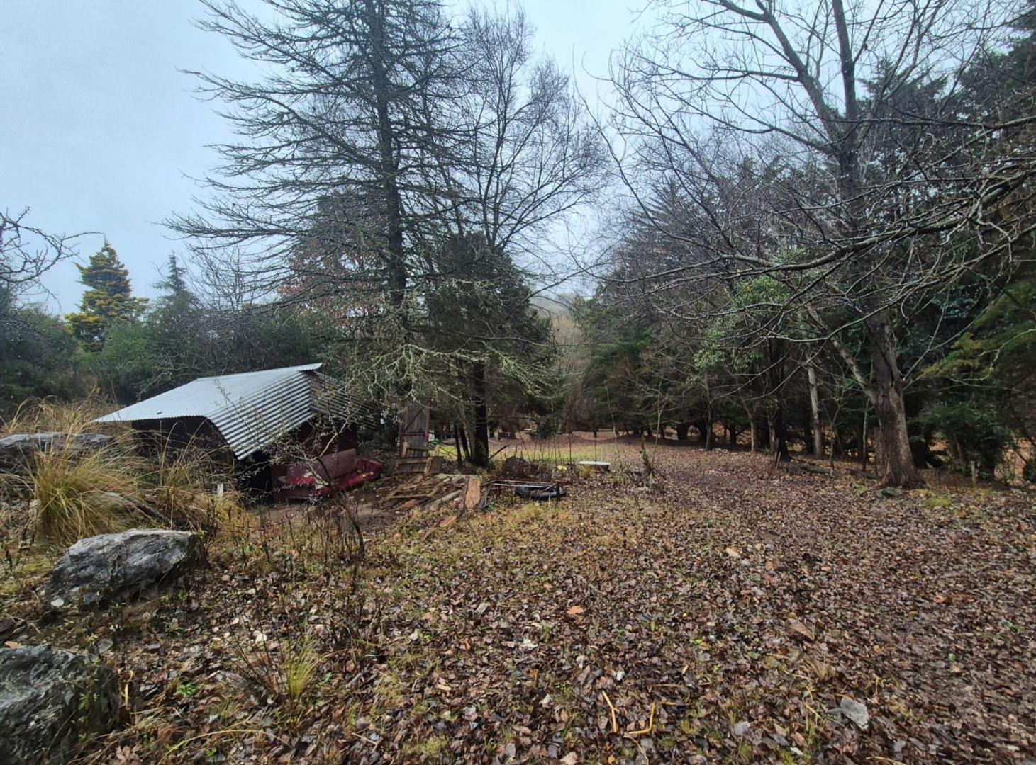 Foto de VENTA CAMPO 18HAS ARROYO CNO CANDONGA AGUA DE ORO, imagen 5