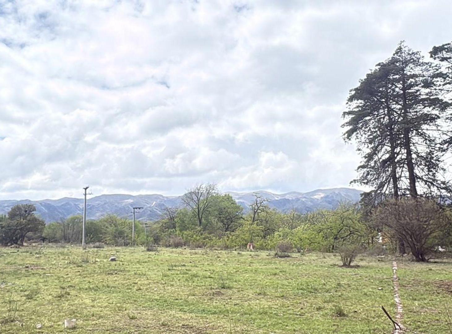 Foto de Venta de Terreno 1100 m2 Villa Giardino, imagen 5