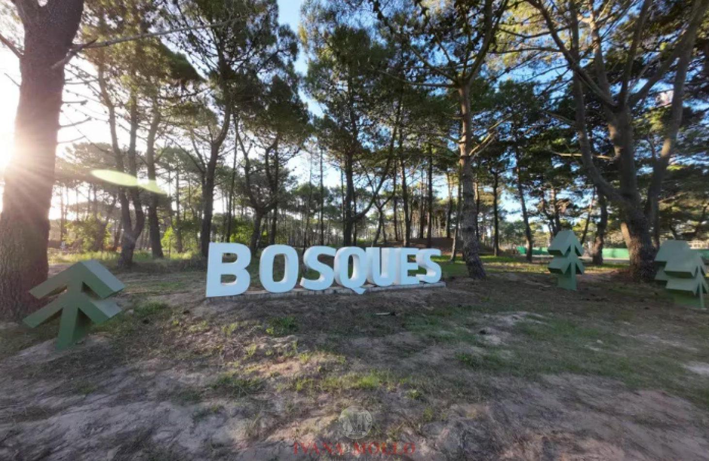 Foto de Lote en venta en barrio Bosques, imagen 2