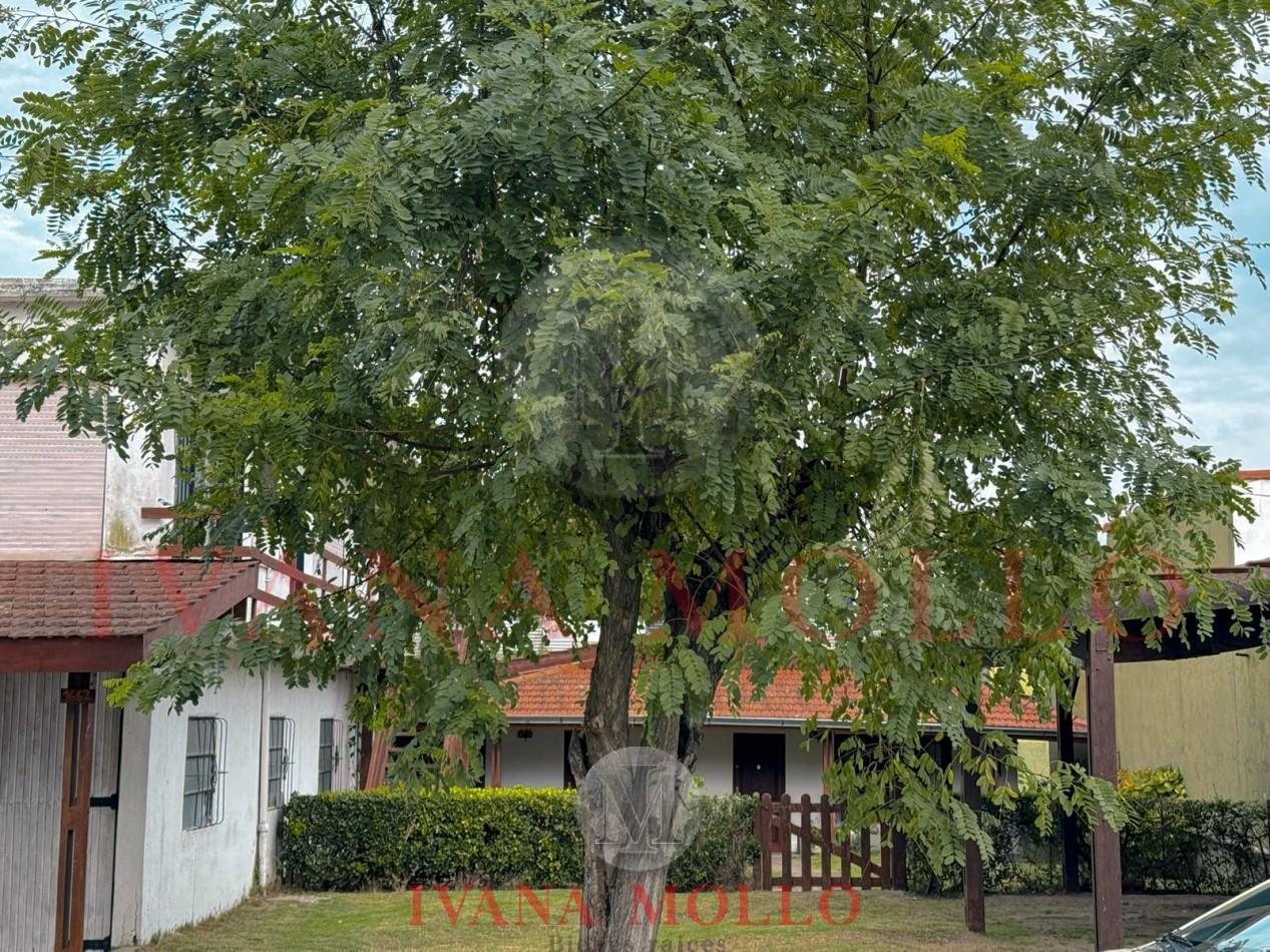 Foto de Lote multifamiliar en venta en Pinamar Centro, imagen 1
