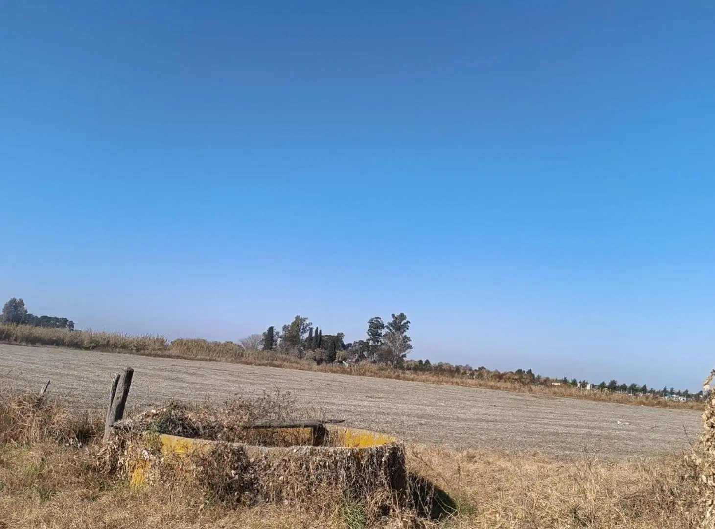 Campo de 10h con Galpon en Recreo Sur 5