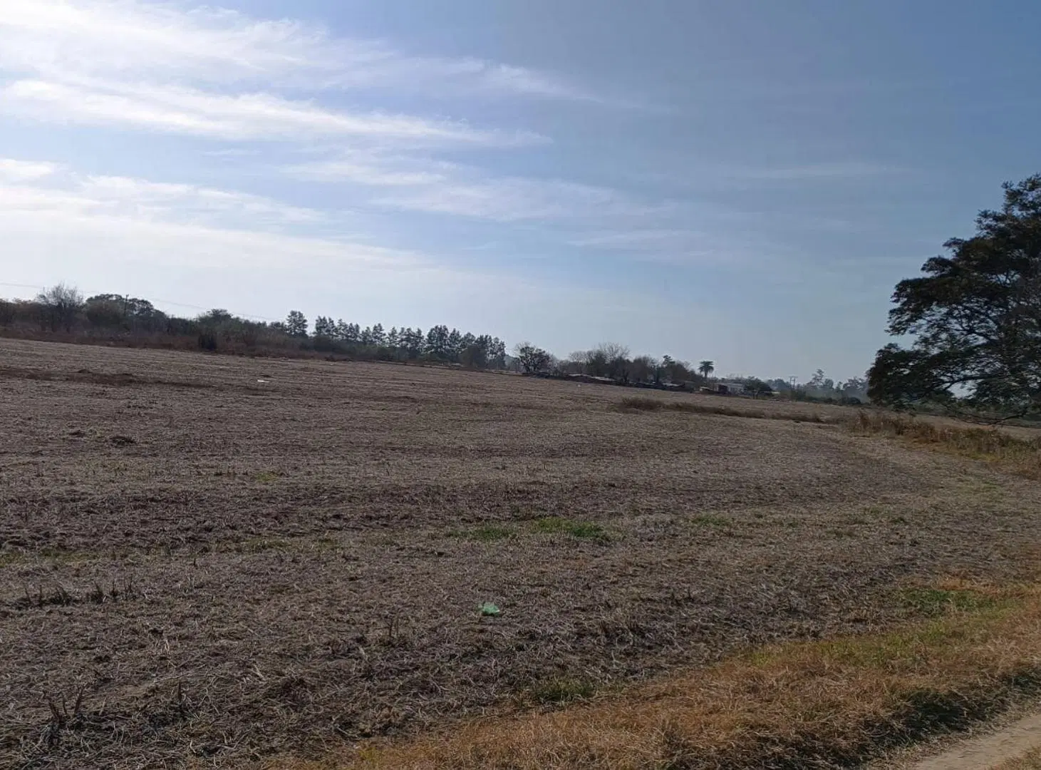 Campo de 10h con Galpon en Recreo Sur 4