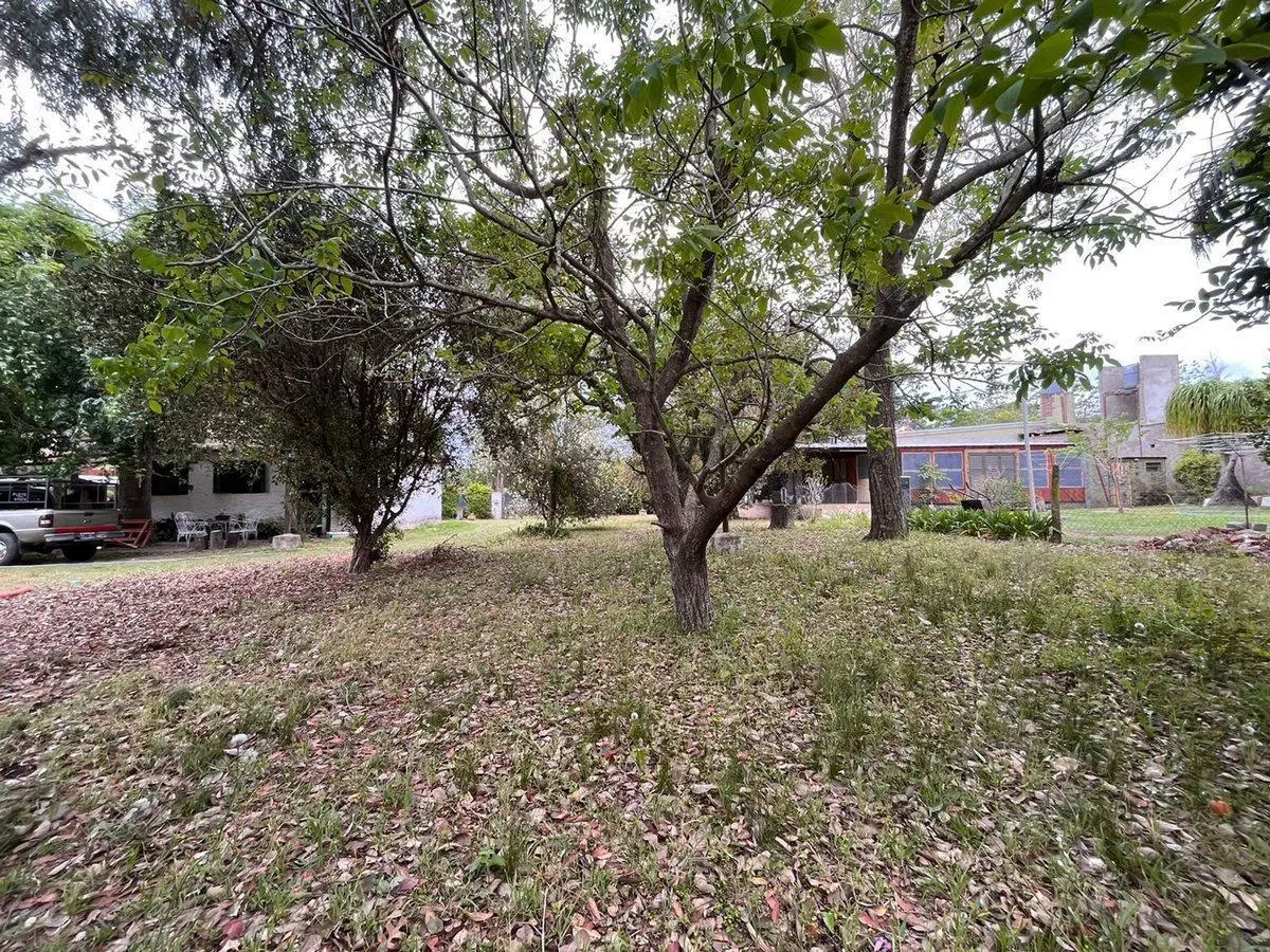 Terreno forestado en Colastiné. 2