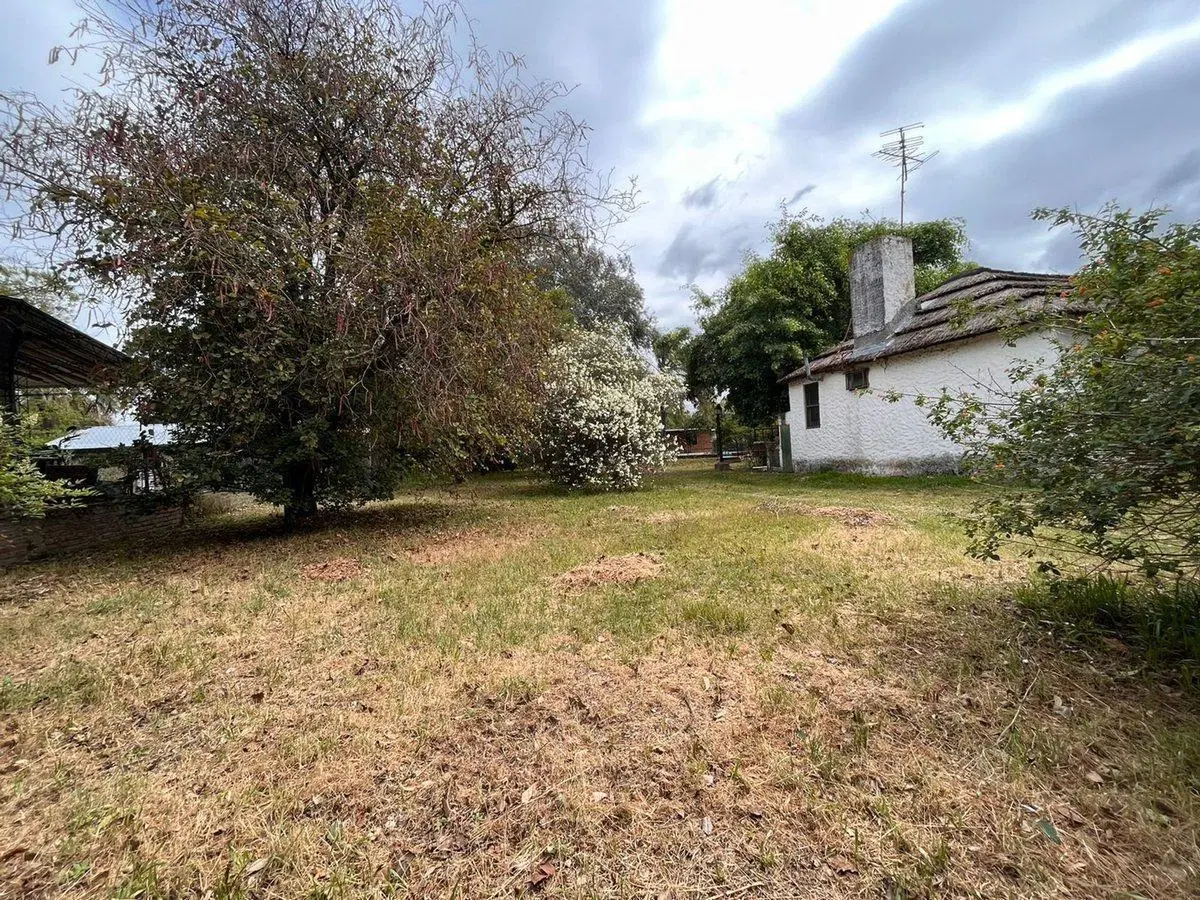 Terreno forestado en Colastiné. 4