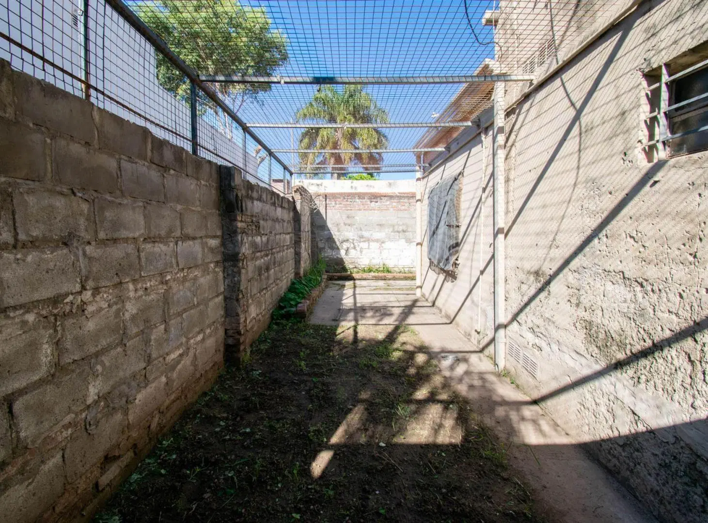 Se alquila Casa un dormitorio+ patio y cochera. 5