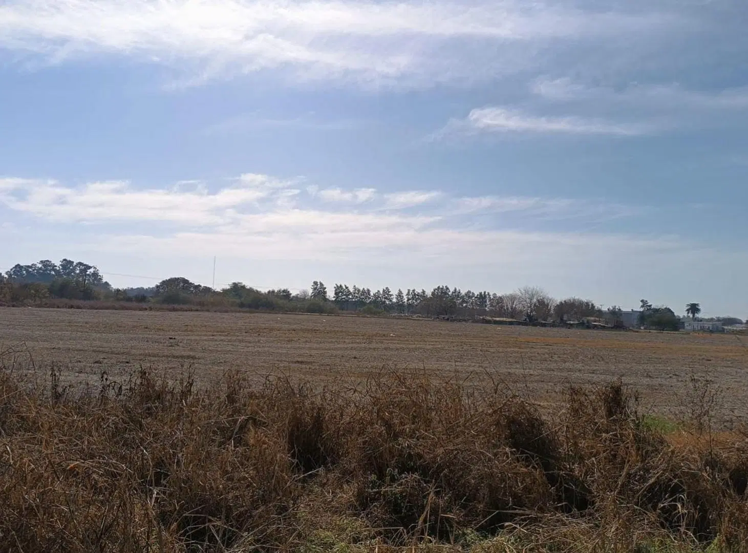 Campo de 10h con Galpon en Recreo Sur 5