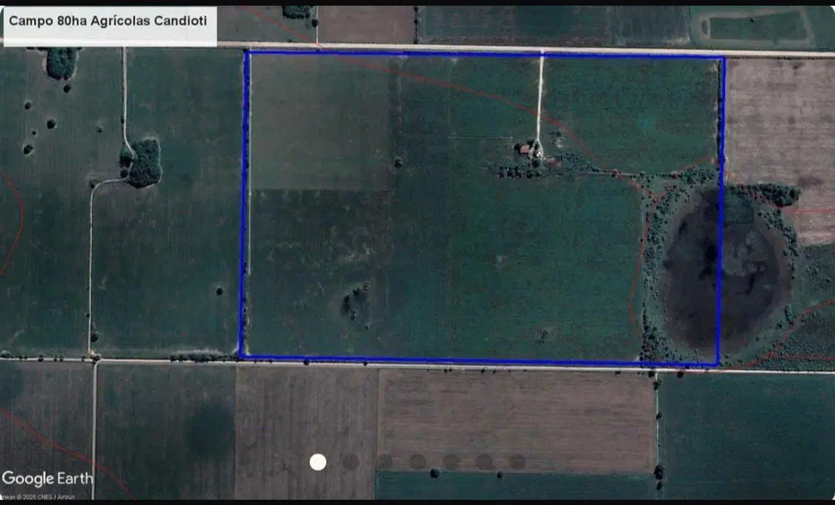 VENTA DE CAMPO AGRICOLA EN GDOR. CANDIOTI 5