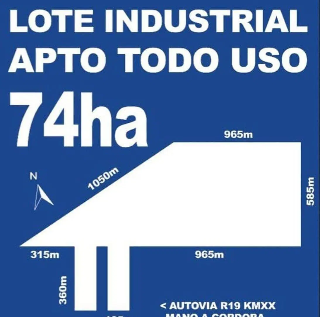 CAMPO SOBRE RUTA 19 2