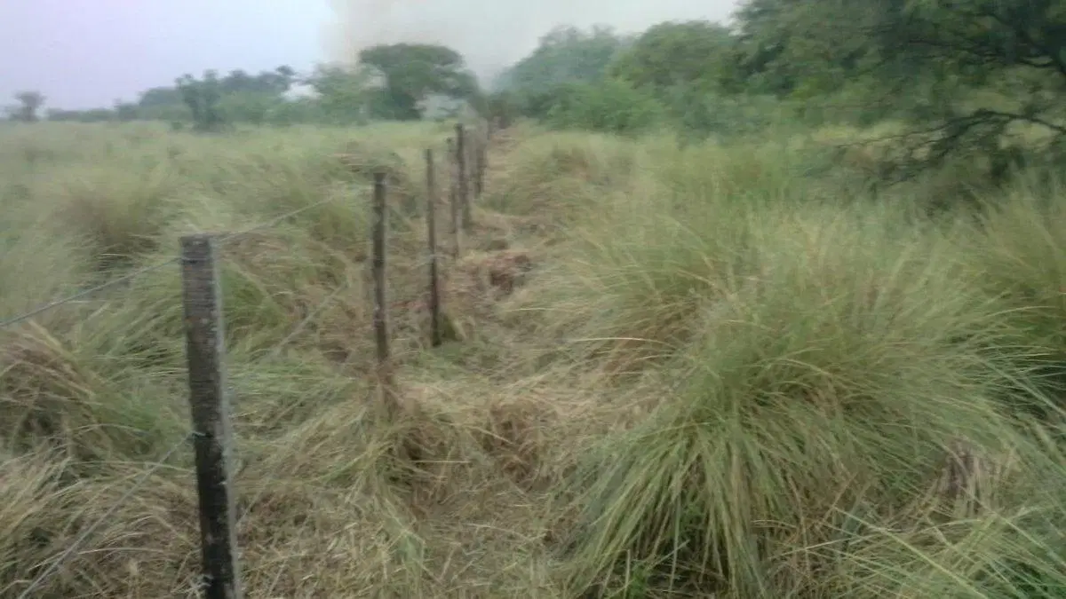Campo en venta Aguará Grande 3