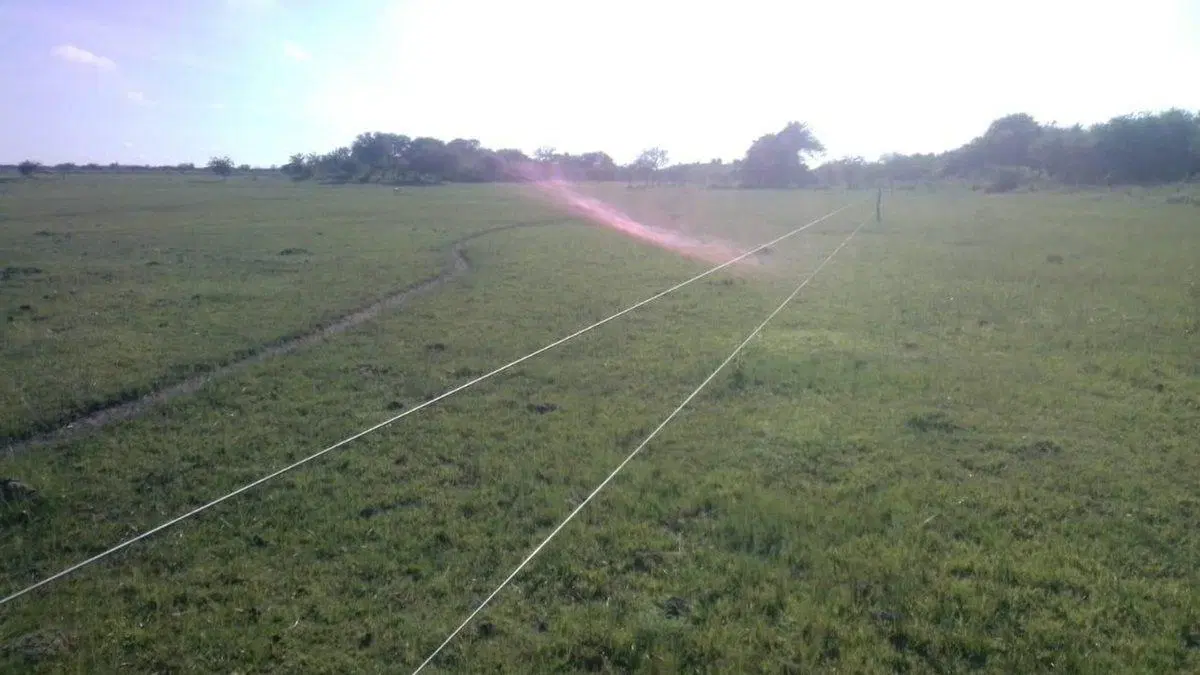 Campo en venta Aguará Grande 4