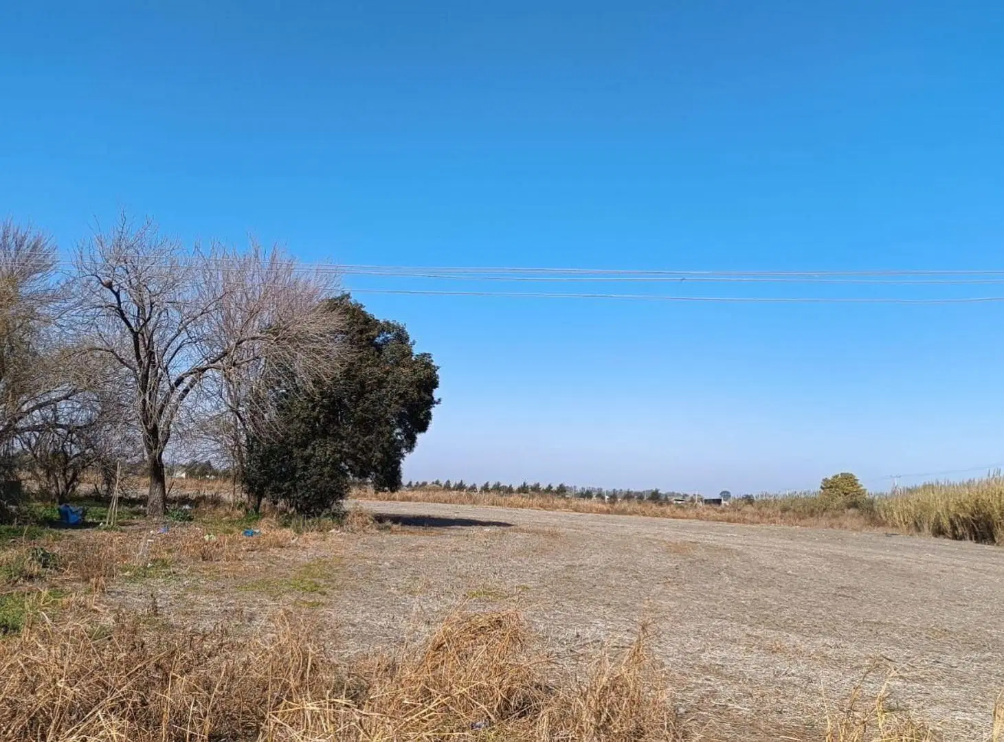 Campo de 10h con Galpon en Recreo Sur 2