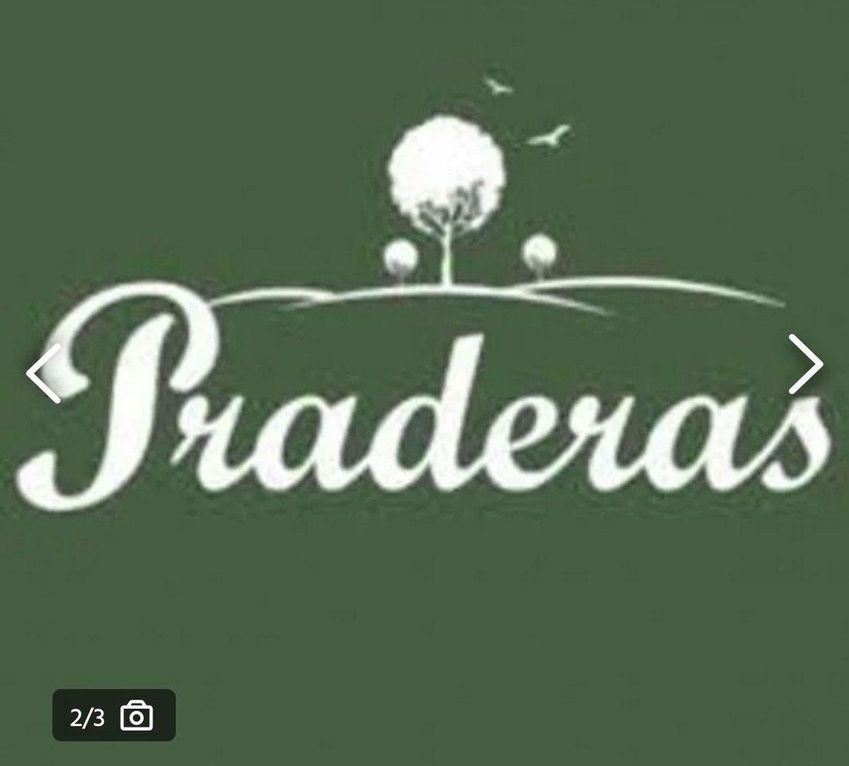 Foto de Remax Vende terreno en PRADERAS 5, imagen 2