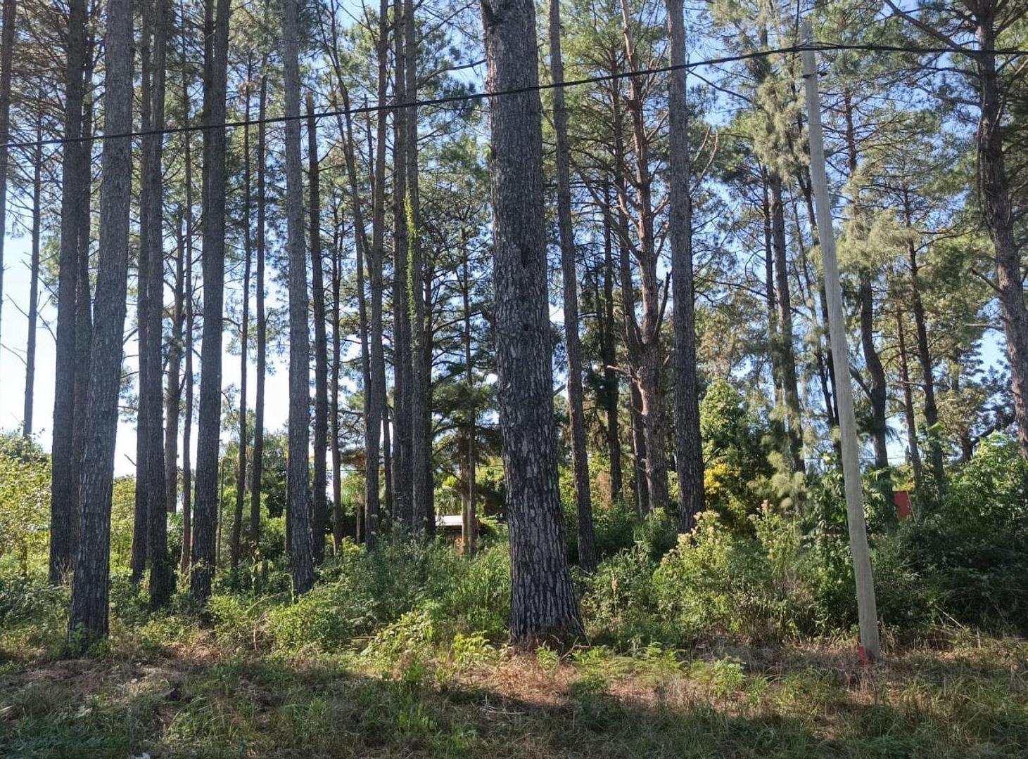 Foto de TERRENO EN VENTA EN CAYASTA, imagen 1