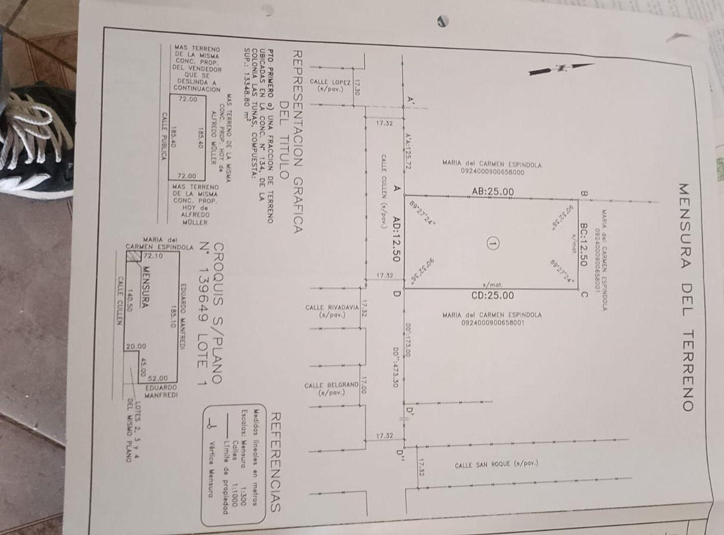 Foto de TERRENO EN VENTA EN LAS TUNAS 12.50 X 25 MTS, imagen 4