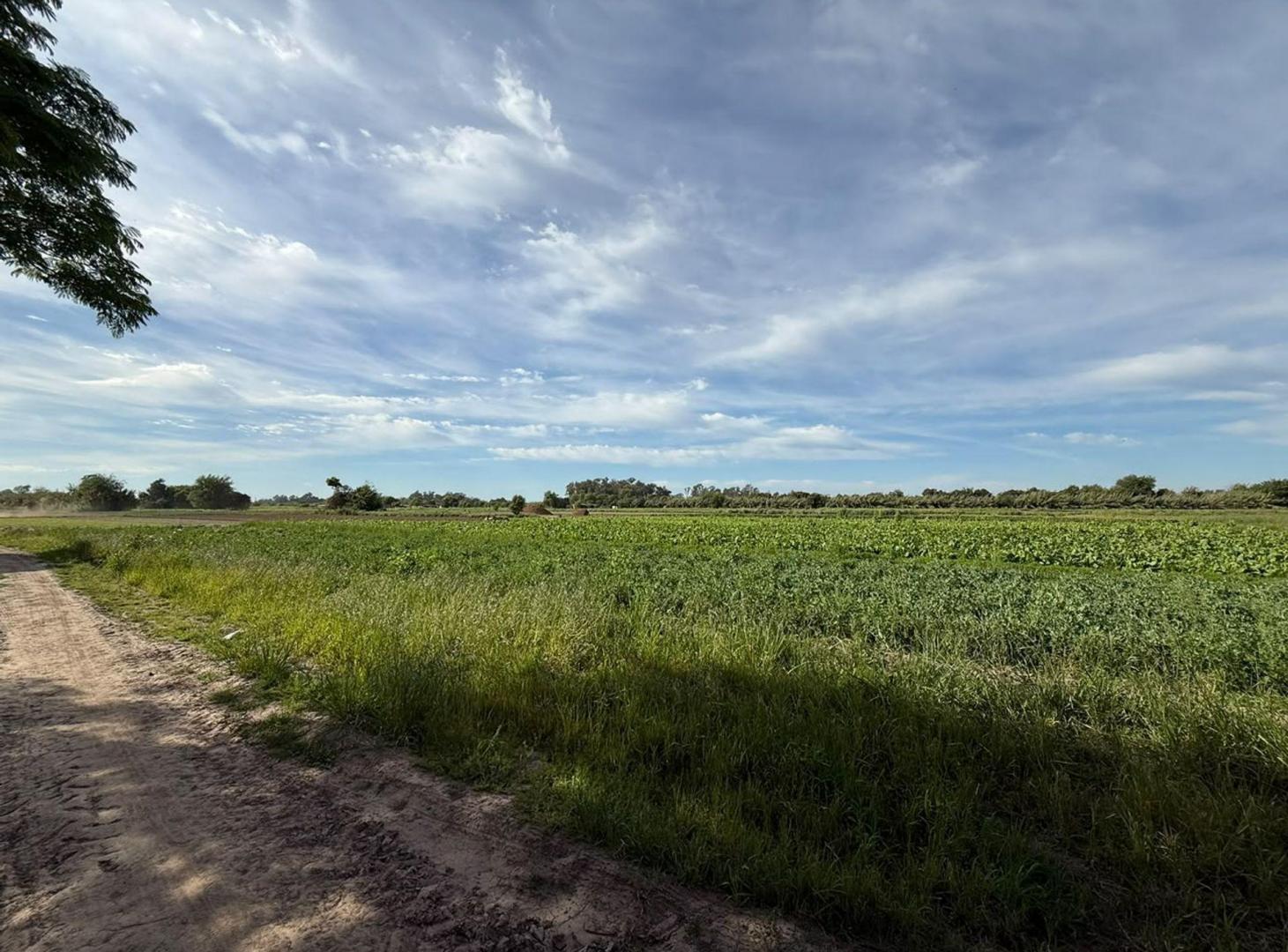 Foto de VENTA 7,5 HECTAREAS (RECREO SUR), imagen 1