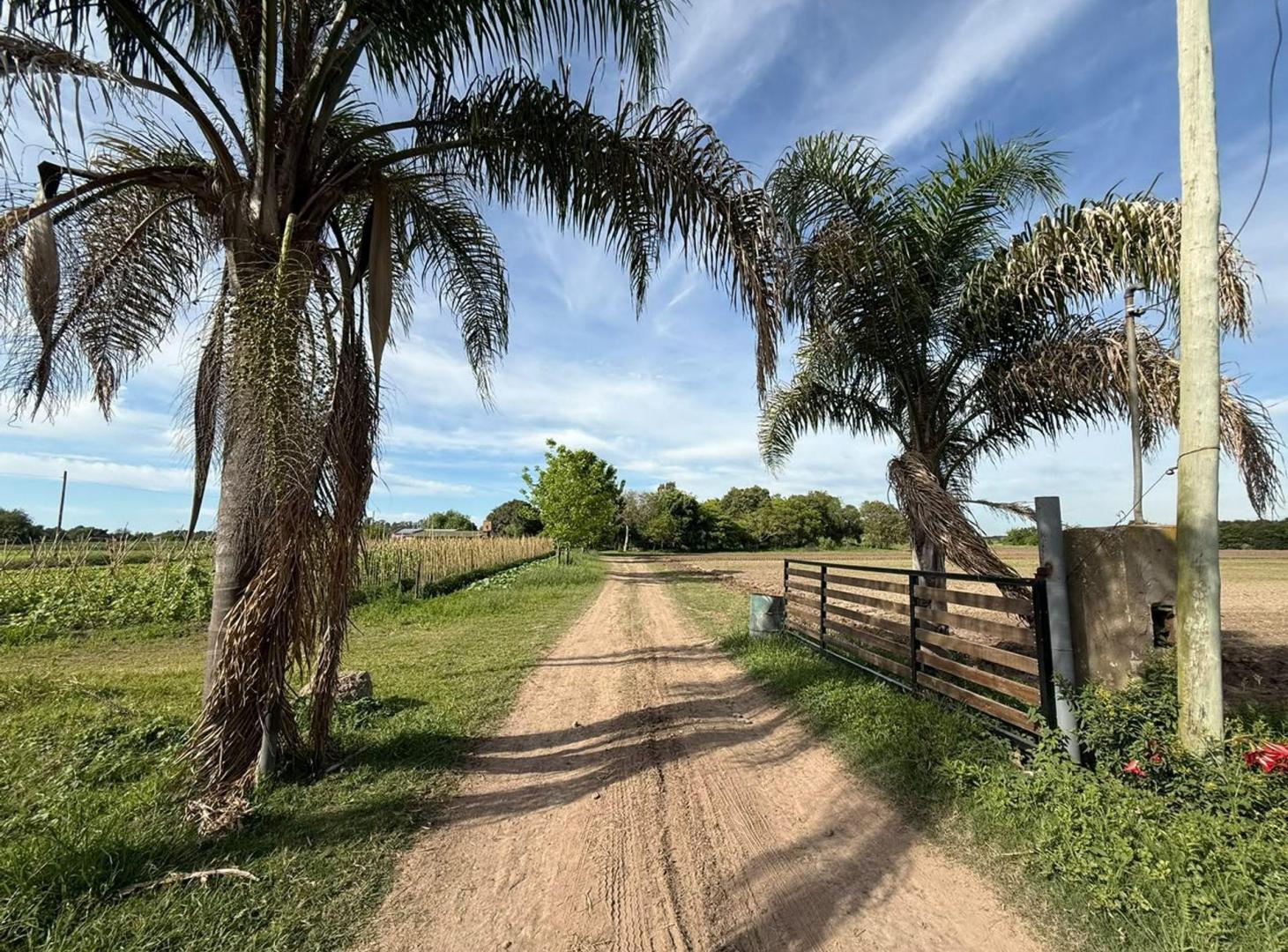 Foto de VENTA 7,5 HECTAREAS (RECREO SUR), imagen 2