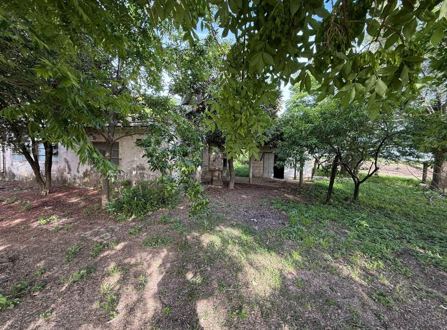 Foto de VENTA 7,5 HECTAREAS (RECREO SUR), imagen 5