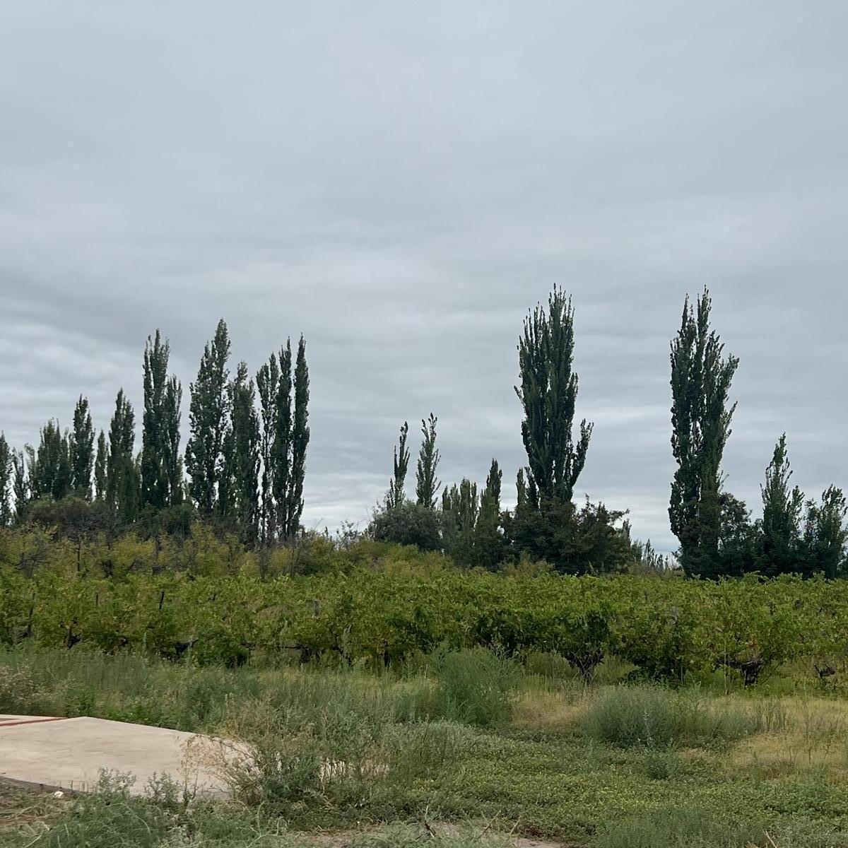 Bodega en Venta 1