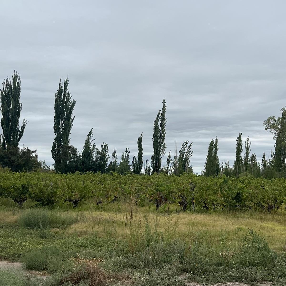 Propiedad en Argentina