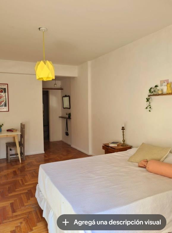 Foto de VENTA MONOAMBIENTE AMPLIO CON PATIO LUZ EN BALVANERA, imagen 2
