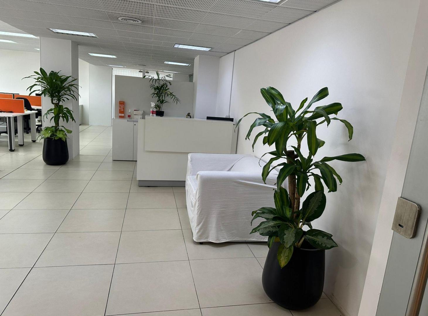 Foto de AMPLIO PISO DE OFICINAS EN NUÑEZ, imagen 2
