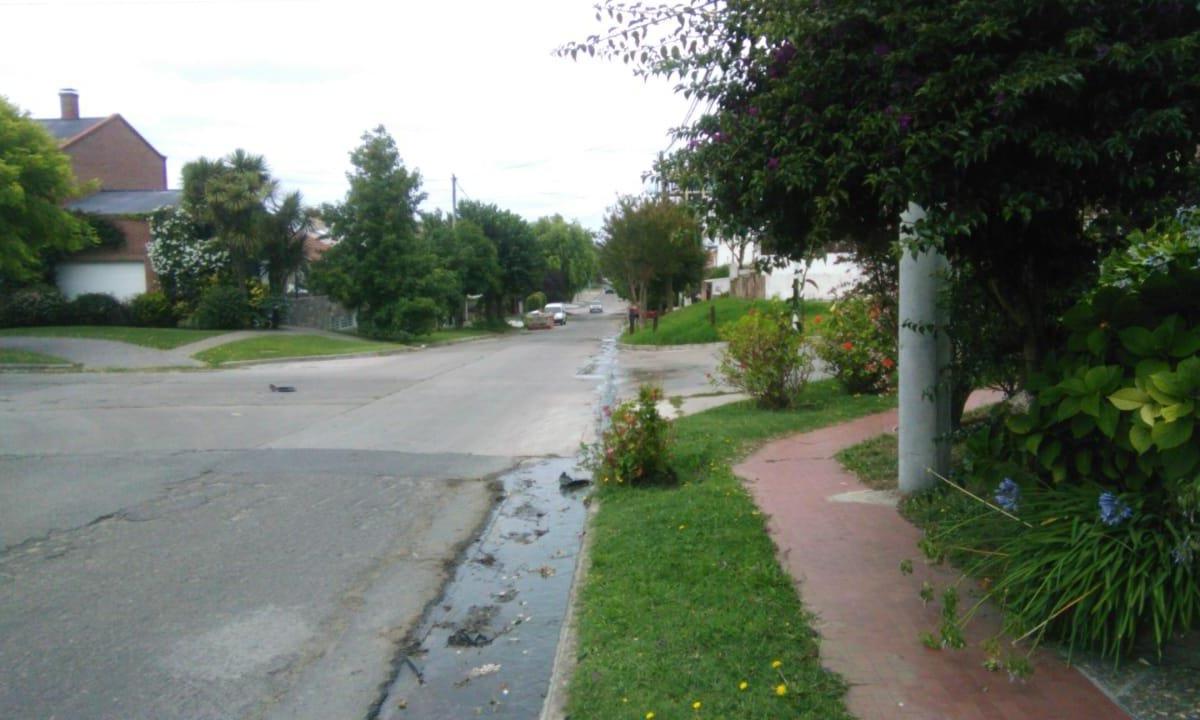 Vendo Duplex con Renta: Barrio San Carlos: Familiar o Apto Profesional! 2