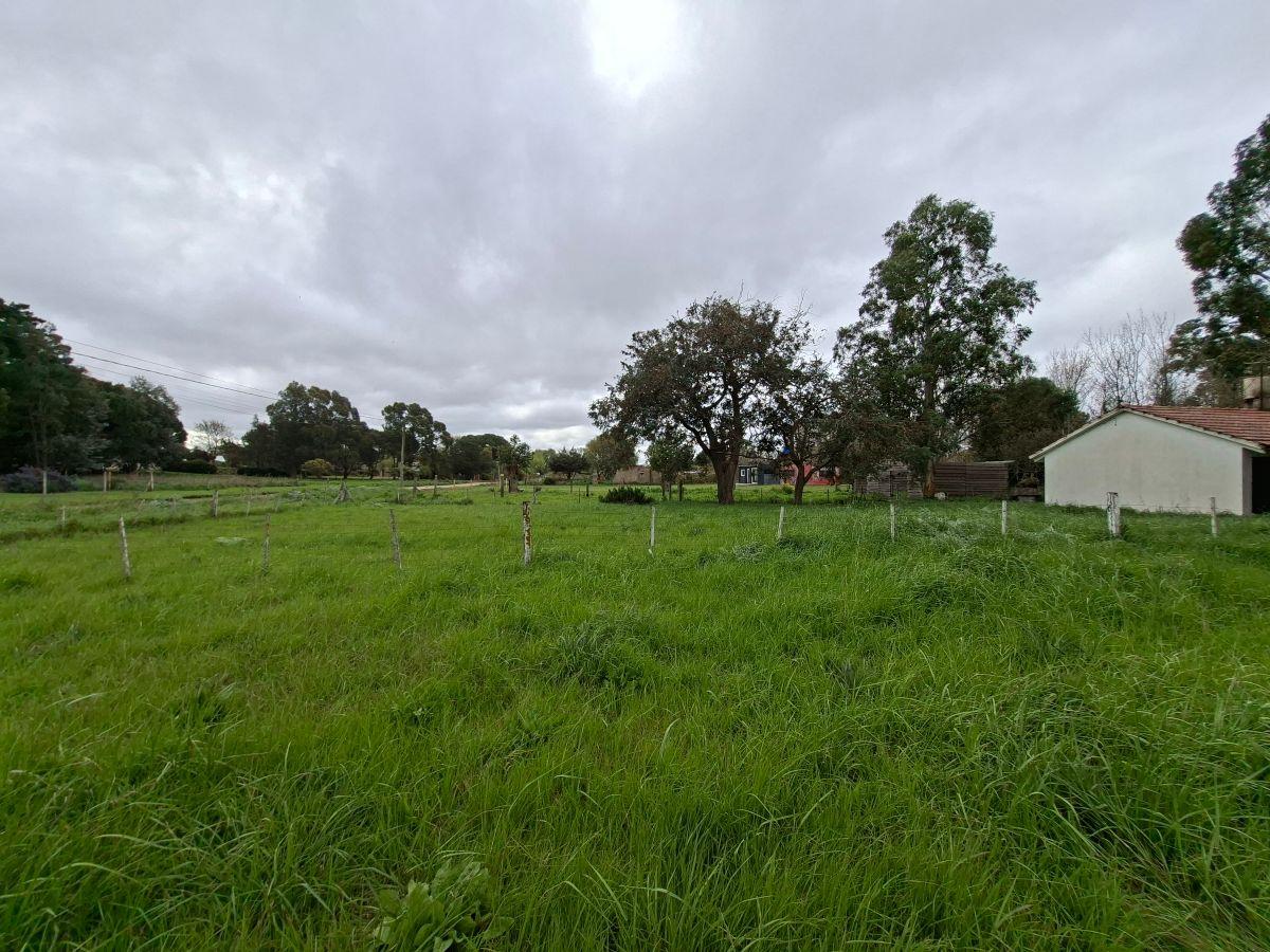 Foto de Barrio Santa Isabel ( Frente a los Hoteles de Chapadmalal) Vendo lote, imagen 3