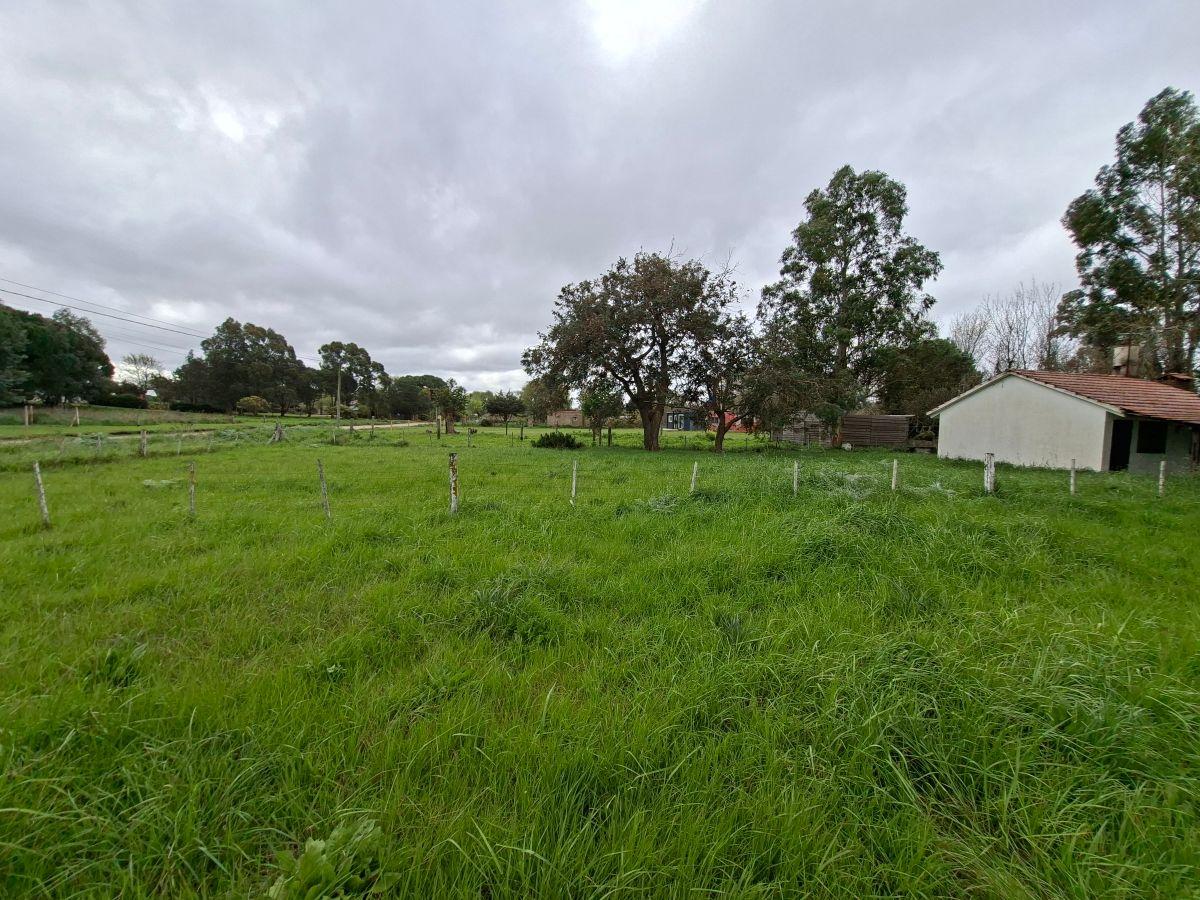 Foto de Barrio Santa Isabel ( Frente a los Hoteles de Chapadmalal) Vendo lote, imagen 2