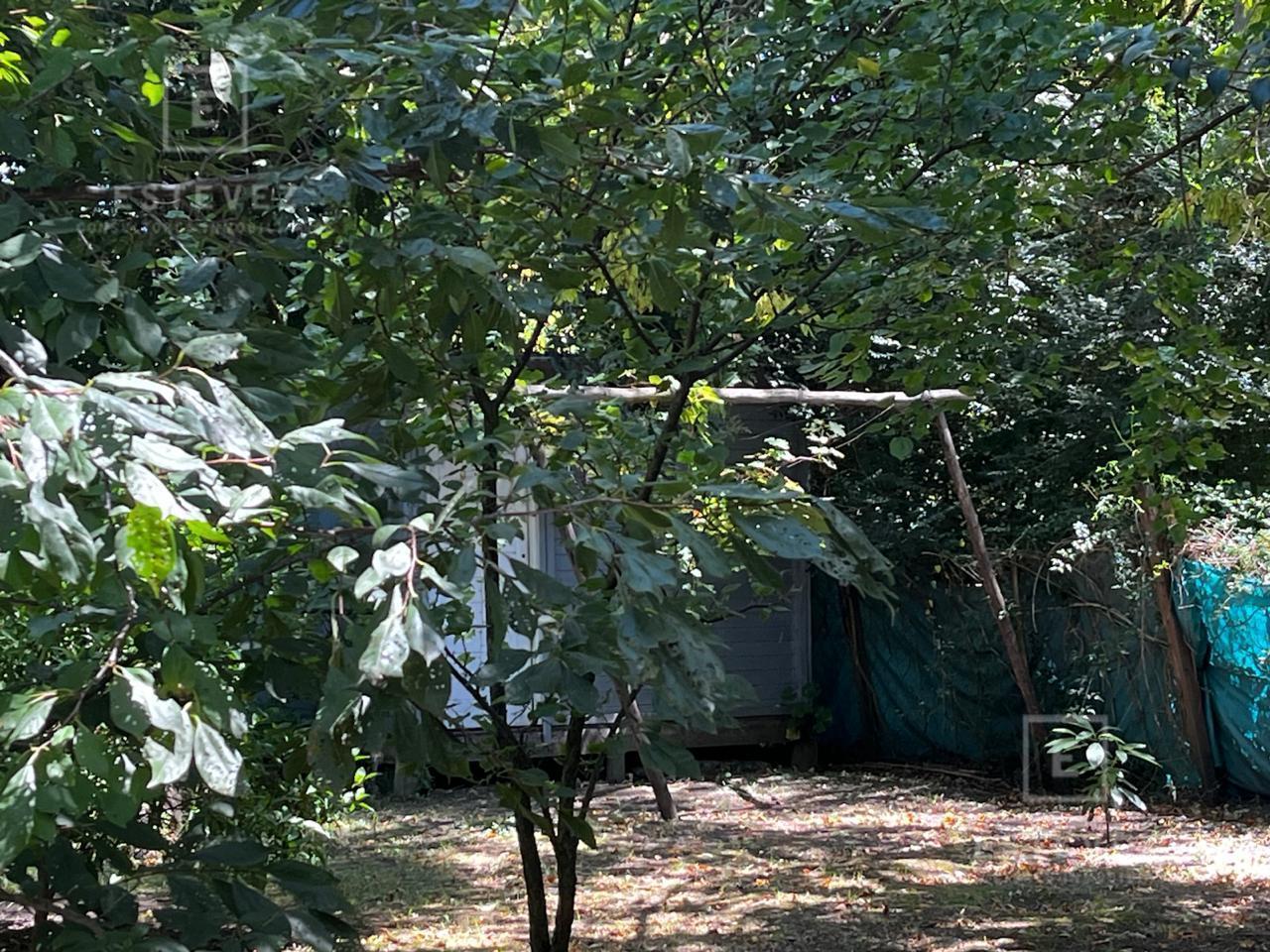 Foto de Casa en La Bota, imagen 3