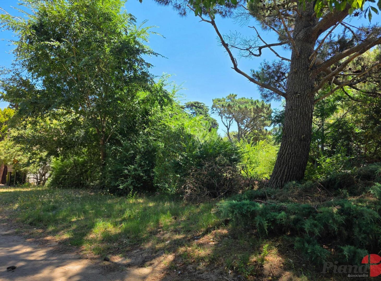 Terreno en Venta - Zona Iglesia - Encantador Entorno - Proximo al Mar