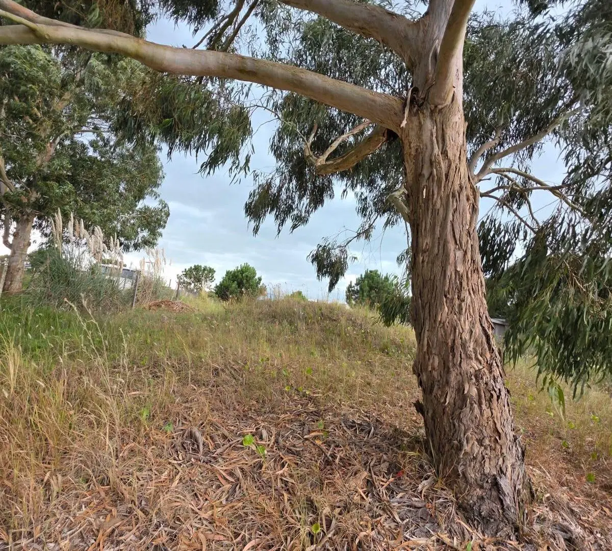 Terreno en Venta - Costa Esmeralda - Barrio Ecuestre - 800 m² 1